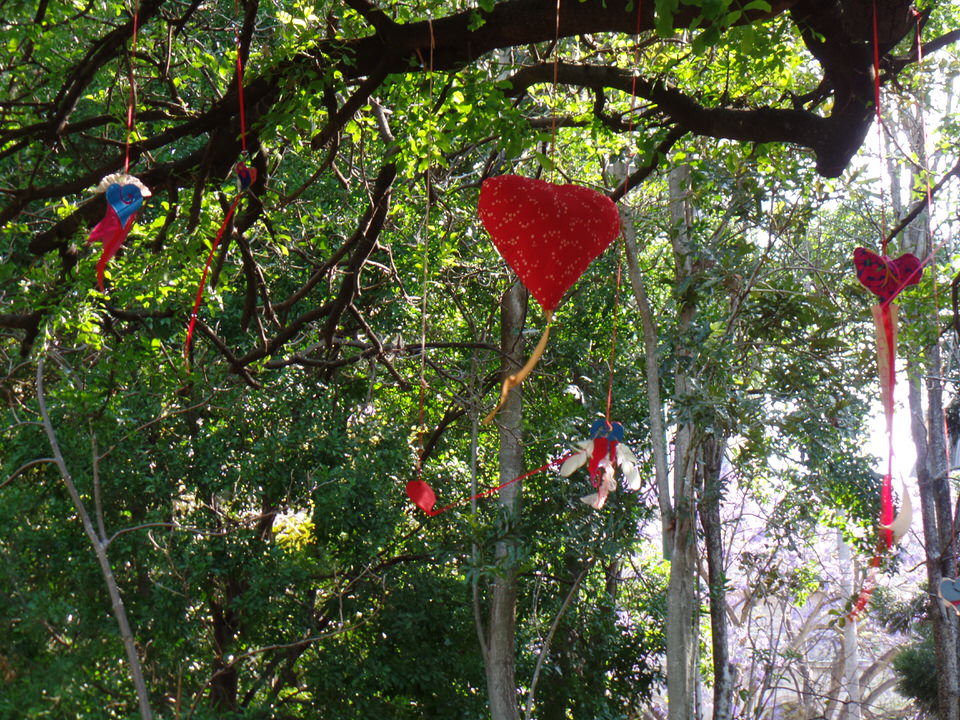 Baumschmuck Brisbane