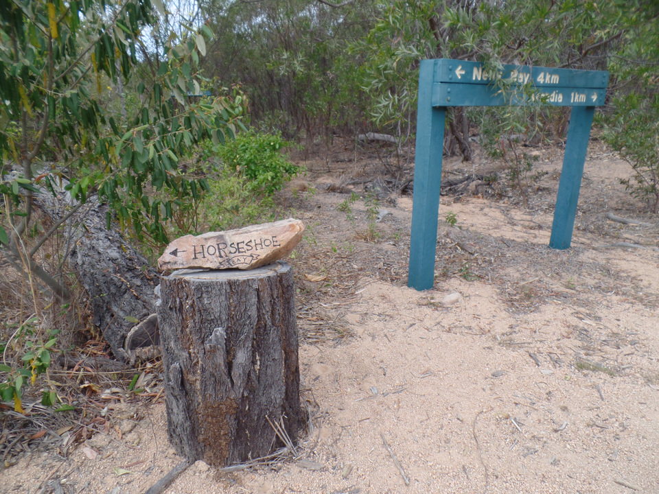 Wandern auf Magnetic Island