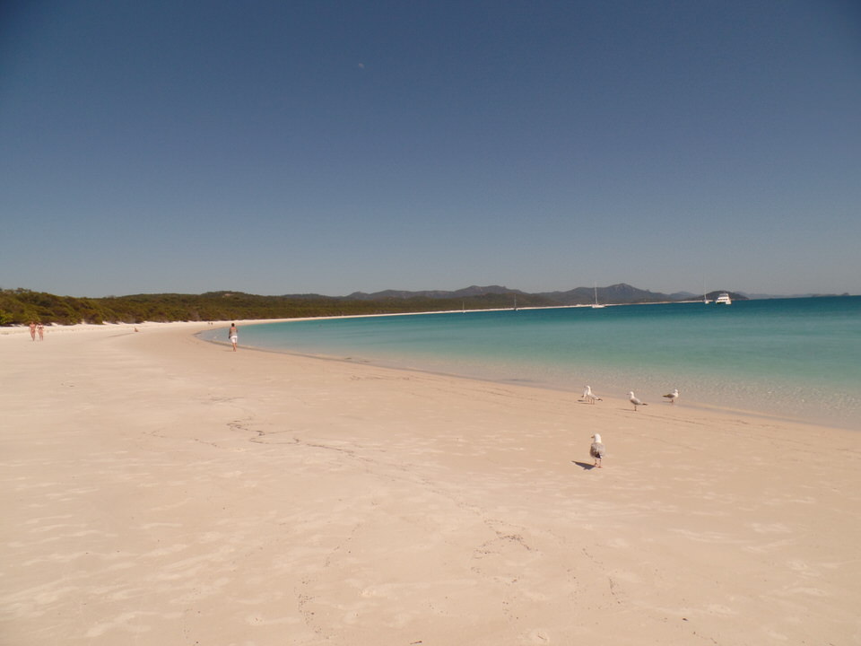 Whitehaven Beach: Whitsunday Islands