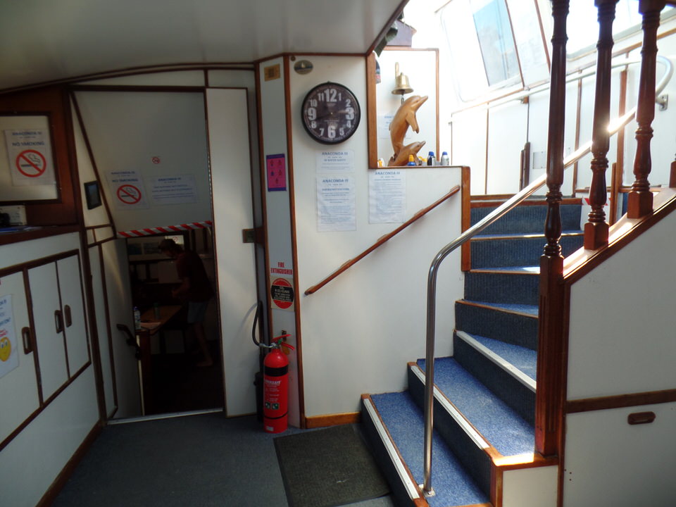 Treppe Segelboot Anaconda III