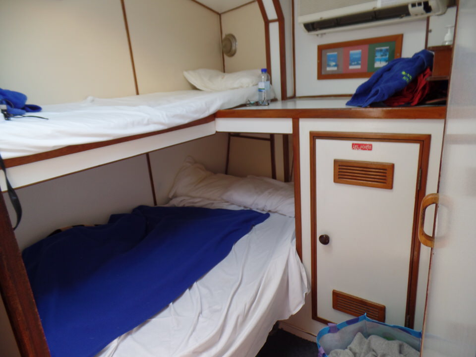 Segeln Whitsunday Islands: Schlafkoje 